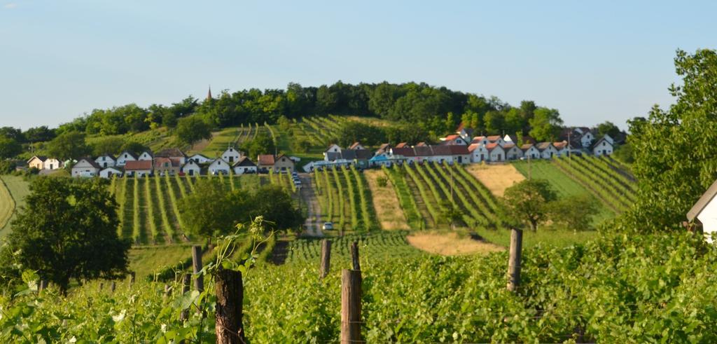 Ferienwohnung Herrmann Pottenhofen Bagian luar foto